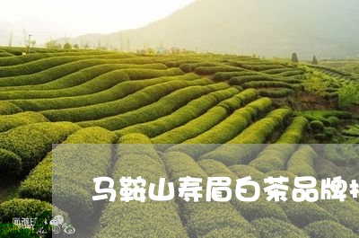 马鞍山寿眉白茶品牌排行/2023033097351