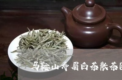 马鞍山寿眉白茶散茶图片/2023033099362