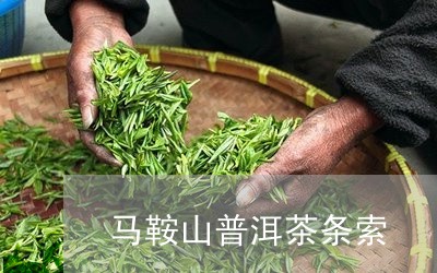 马鞍山普洱茶条索/2023033196251