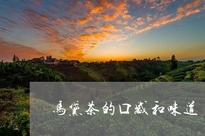 马黛茶的口感和味道/2023032150815