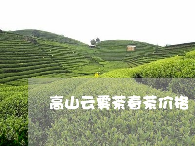 高山云雾茶春茶价格/2023041765948