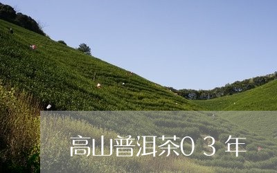 高山普洱茶03年/2023041013836