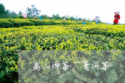 高山源茶厂普洱茶/2023031716050