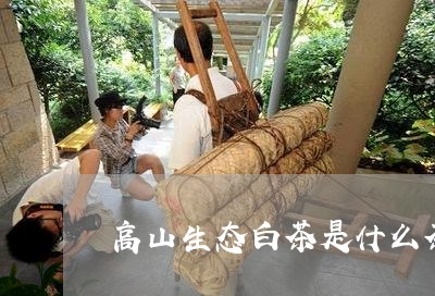 高山生态白茶是什么茶类/2023033047294