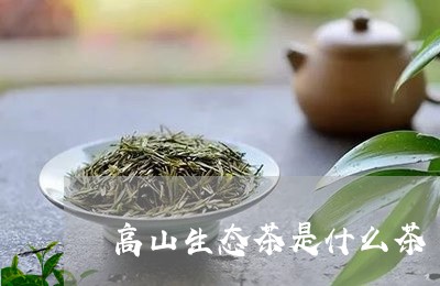 高山生态茶是什么茶/2023041565961