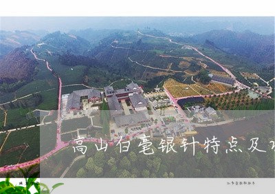 高山白毫银针特点及功效/2023033013748