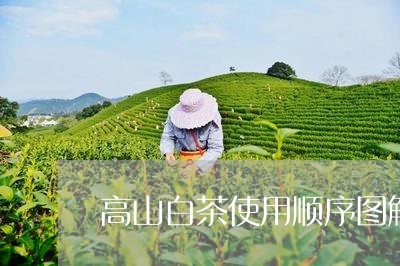 高山白茶使用顺序图解法/2023033085582