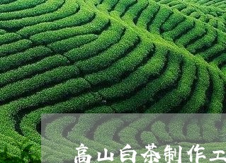 高山白茶制作工艺流程图/2023033059614