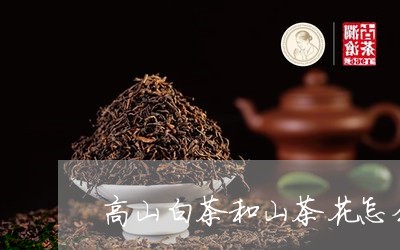 高山白茶和山茶花怎么用/2023033039823