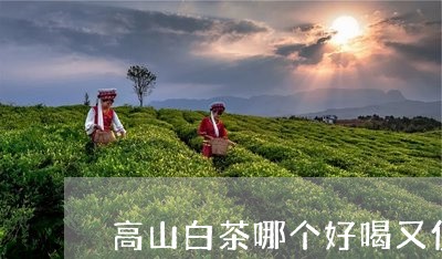 高山白茶哪个好喝又便宜/2023033008260