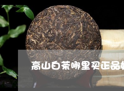 高山白茶哪里买正品好呢/2023033063958