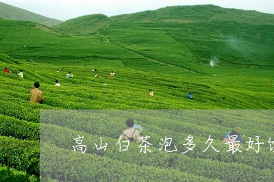 高山白茶泡多久最好饮茶/2023033027371