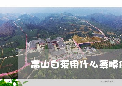 高山白茶用什么薄膜保存/2023033039724