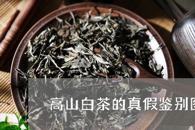 高山白茶的真假鉴别图解/2023033015845