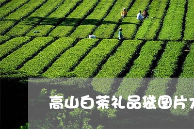 高山白茶礼品袋图片大全/2023033051505