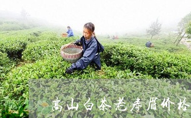 高山白茶老寿眉价格多少/2023033039615