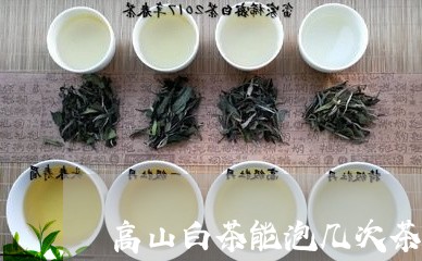 高山白茶能泡几次茶叶吗/2023033035059