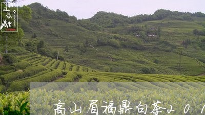 高山眉福鼎白茶2012/2023033140503