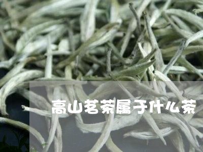 高山茗茶属于什么茶/2023031954058