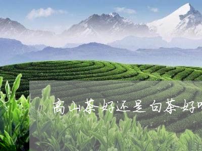 高山茶好还是白茶好喝呢/2023033038494