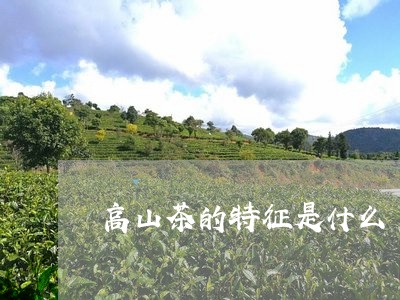 高山茶的特征是什么/2023041769373