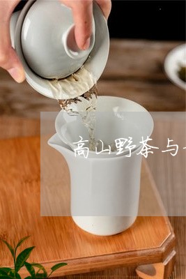 高山野茶与普洱茶/2023041109583