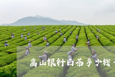 高山银针白茶多少钱一斤/2023033069695