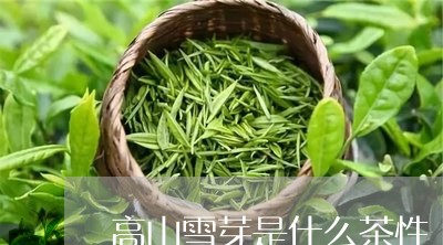 高山雪芽是什么茶性/2023041594028