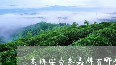 高端安白茶品牌有哪些/2023033024171