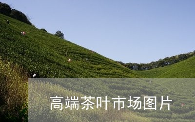 高端茶叶市场图片/2023032595850