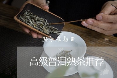 高级普洱熟茶推荐/2023032928148