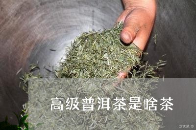 高级普洱茶是啥茶/2023041193037