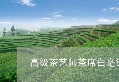 高级茶艺师茶席白毫银针/2023033025151