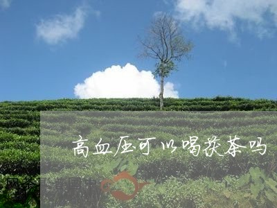 高血压可以喝茯茶吗/2023031808169