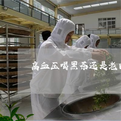 高血压喝黑茶还是老白茶/2023033004949