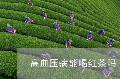 高血压病能喝红茶吗/2023031975958