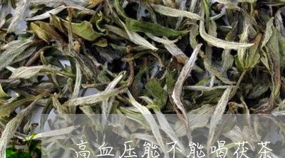 高血压能不能喝茯茶/2023031800684