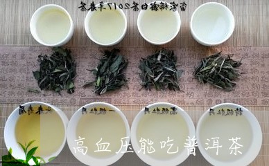 高血压能吃普洱茶/2023041060464