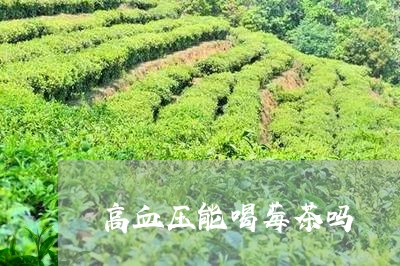 高血压能喝莓茶吗/2023032247147