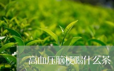 高血压脑梗喝什么茶/2023032049470