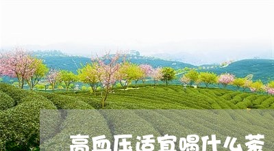 高血压适宜喝什么茶/2023031929592