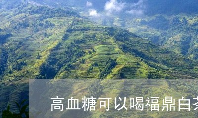 高血糖可以喝福鼎白茶吗/2023033016193