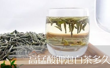 高锰酸钾泡白茶多久能喝/2023033005928