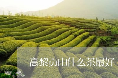 高黎贡山什么茶最好/2023041585846