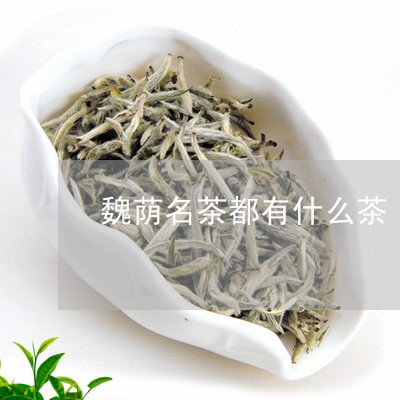 魏荫名茶都有什么茶/2023032135948