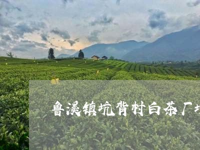 鲁溪镇坑背村白茶厂地址/2023033065039