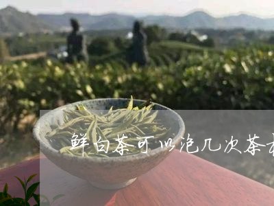 鲜白茶可以泡几次茶杯里/2023033048382