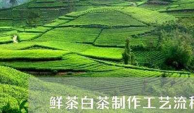 鲜茶白茶制作工艺流程图/2023033038150