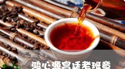 鸿心源宫廷老班章/2023032906157