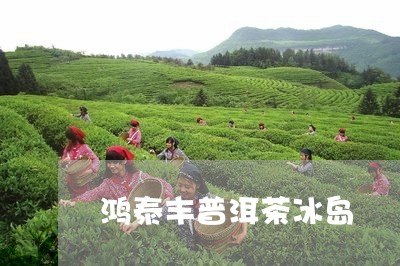 鸿泰丰普洱茶冰岛/2023031720484